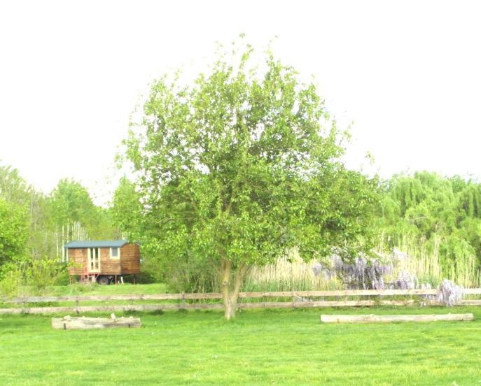 Casetta Sul Lago Albairate Exterior photo